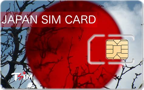 smart sim card roaming in japan|sim card for foreigners.